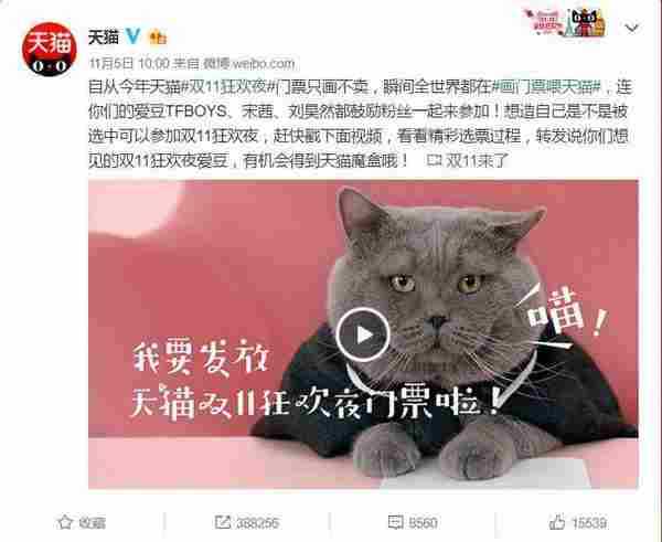 关于天猫双十一的运营复盘，你可能一直在等这一篇