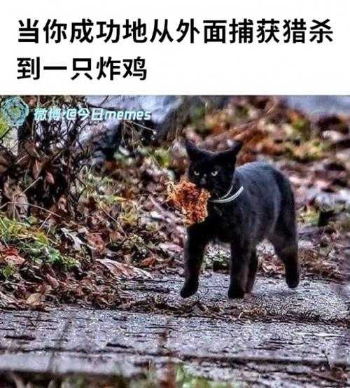 姐妹好大啊！可以摸摸吗 囧图 手感就像抓到棉花一样