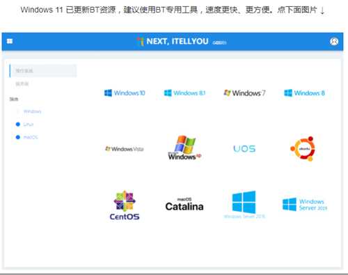 msdn哪个是win11专业版系统 msdn官网Win11专业版系统下载安装