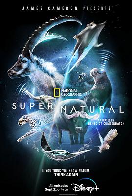 超凡动物奇观 Super/Natural