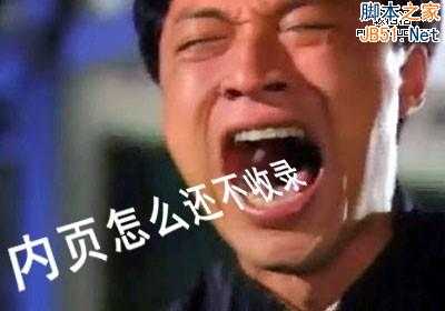 为什么新站只收录首页不收录内页?