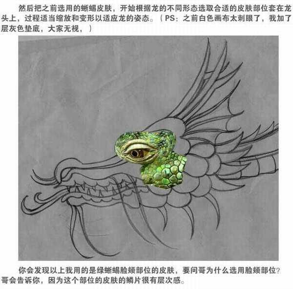 photoshop用蜥蜴或鳄鱼合成制作一条逼真的绿龙