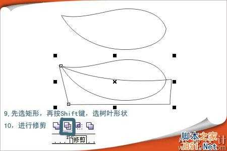 CorelDRAW(CDR)模仿制作清新的绿色树叶实例教程