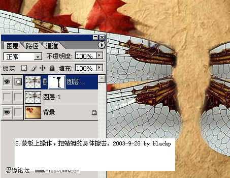 利用PS图层混合更换蜻蜓背景教程