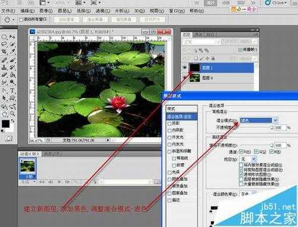 PS CS3中怎么给睡莲制作下雨gif动画效果?